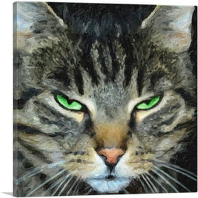 ARTCANVAS American Shorthair Angry Cat Breed Canvas Art Print - Size: 26" x 26" (1.50" Deep)