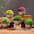 thumbnail image 1 of Gwong Decoración hogareña Simulación Potted Fresh Home Decoration Plastic Rural Hierba Bola Fake Bonsai para sala de estar Gwong 21067260, 1 of 6