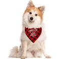 thumbnail image 4 of Bandana pour Chien Promu Grand Sœur, Bandana pour Chien, Foulard pour Animal à Carreaux Buffalo Rouges, Accessoires de Foulard pour Chien, Foulard Triangulaire Révélant le Genre du Chien, Bandana pour Chien pour Petits Moyens Grands Chiens (C26), 4 of 4