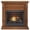 Apple Spice, variant on Duluth Forge Dual Fuel Ventless Gas Fireplace - 26,000 BTU, T-Stat Control, Antique White Finish