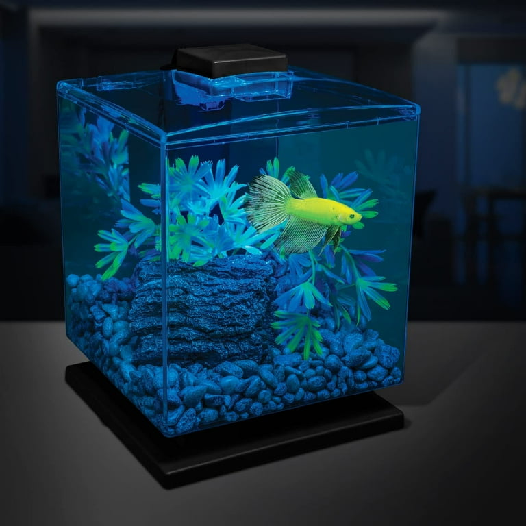 GloFish White Pearlescent Accent Gravel for Aquariums 5 lbs. Walmart