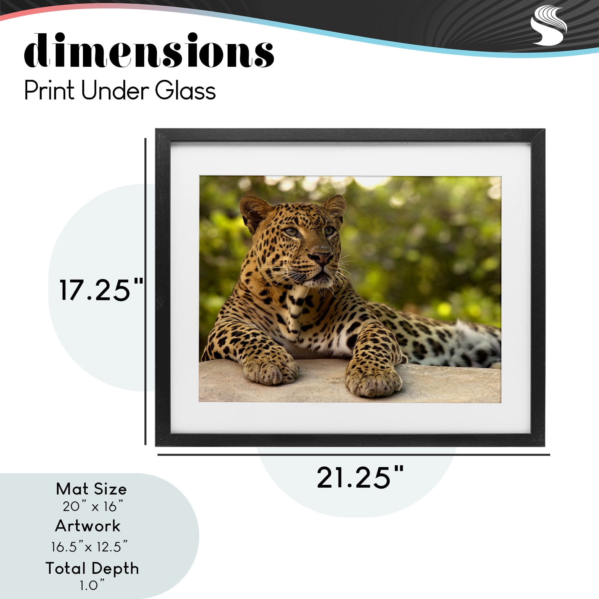 Leopard Gazing Relaxation Black Framed Print Under Glass, design by MJ Photography