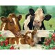 thumbnail image 1 of Pintura de diamante 5D DIY Kit de vaca de taladro cuadrado completo decoración del hogar arte artesanal Hugtrwg Para estrenar, 1 of 9