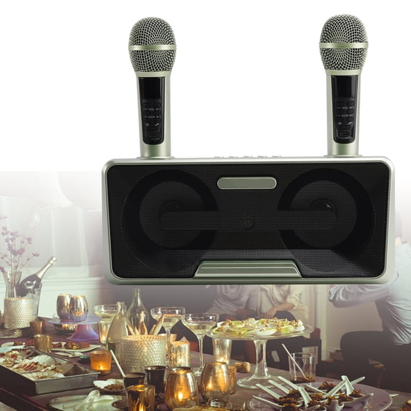 Areyourshop Wireless Bluetooth Speaker Dual Microphone Karaoke All-In-One Outdoor Portable