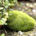 thumbnail image 3 of 6 uds bolas de musgo artificiales piezas de bolas de musgo verde piedras falsas decorativas (7*10cm), 3 of 5