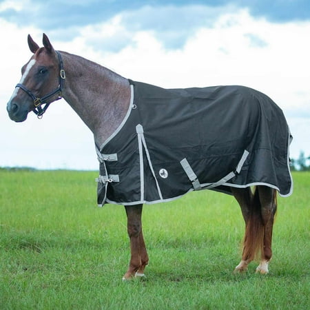 Jeffers Economy 600 Denier Standard Neck Horse Sheet 0 Gram Polyfill 72 Inch - Waterproof Lightweight Turnout Blanket Sheet for Horses - Stable Barn Pasture Travel Adjustable Fit - Black Grey