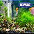 thumbnail image 2 of Piedra Aireadora C/Base De Plastico 15 Cm Lomas 15 cm, 2 of 2
