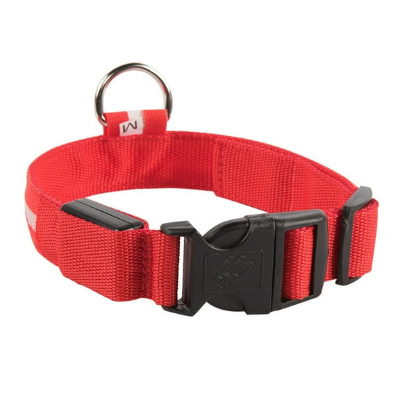Ashosteey Brightest Light Up Dog Collars - USB Rechargeable Light Up Dog Collars - Glow Dog Collar Lights for Night Walking