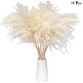 thumbnail image 2 of Coofit Dried Grass Flower Fluffy 10PCS Pompous Grass Decor Dried Reed Bundle for Home, 2 of 10
