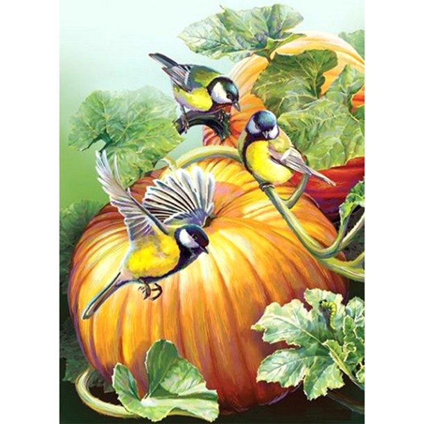 Cuadros Decorativos Taladro redondo completo, pintura de diamantes, kits de calabaza y pájaros, arte de imagen (E865) Sywqhk Nuevos Originales