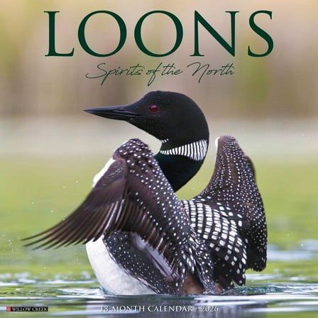 Willow Creek Press, Loons 2026 Wall Calendar, 12'' X 12'', 18-Month Calendar with Stapled Binding
