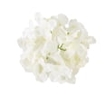 thumbnail image 1 of maskred 10bags Beautiful Wedding Wall Decoration With Simulation Hydrangea Head Color Is Bright And Simulation Is High Cloth E51 Pure White, 1 of 1