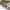 White/XL, variant on TOPRenddon Yard Fence Small Fence Mini Fence Fence Small Fence Garden Fence Home Fence, White Plastic Fence Garden Picket Fence Edgings Lawn Flowerbeds Plant Borders Decorative Garden Yard