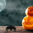 thumbnail image 2 of FELTECHELECTR 4 arañas de plástico: decoraciones de arañas falsas para Halloween, accesorios de broma realistas, juguetes prácticos y divertidos para casas embrujadas., 2 of 6
