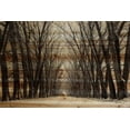 thumbnail image 2 of Tree Path II Painting Print on Wrapped Canvas, 2 of 7