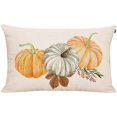 thumbnail image 1 of Housse de Citrouille Automne 20"x12 Pouces en Coton Lin, 1 of 3