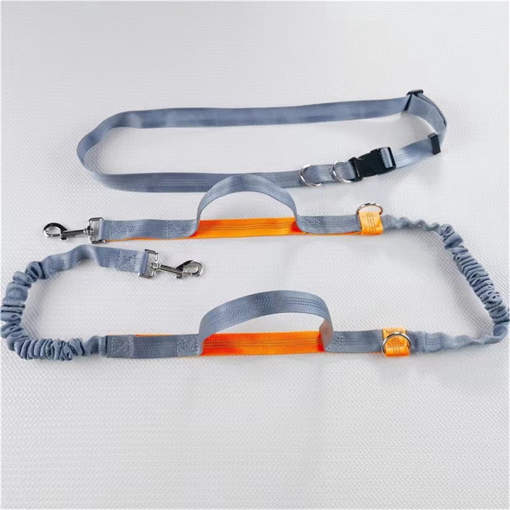 Hands Free Dog Leash, Retractable Dual Handle Bungee Leash, Adjustable Waist Dog Running Belt for Running, Walking, Training, Hiking, Traveling（Gray/Orange）