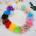 thumbnail image 2 of 20 pinzas para el pelo con flores de gasa para niñas, accesorios para el cabello para bebés y niños pequeños., 2 of 5