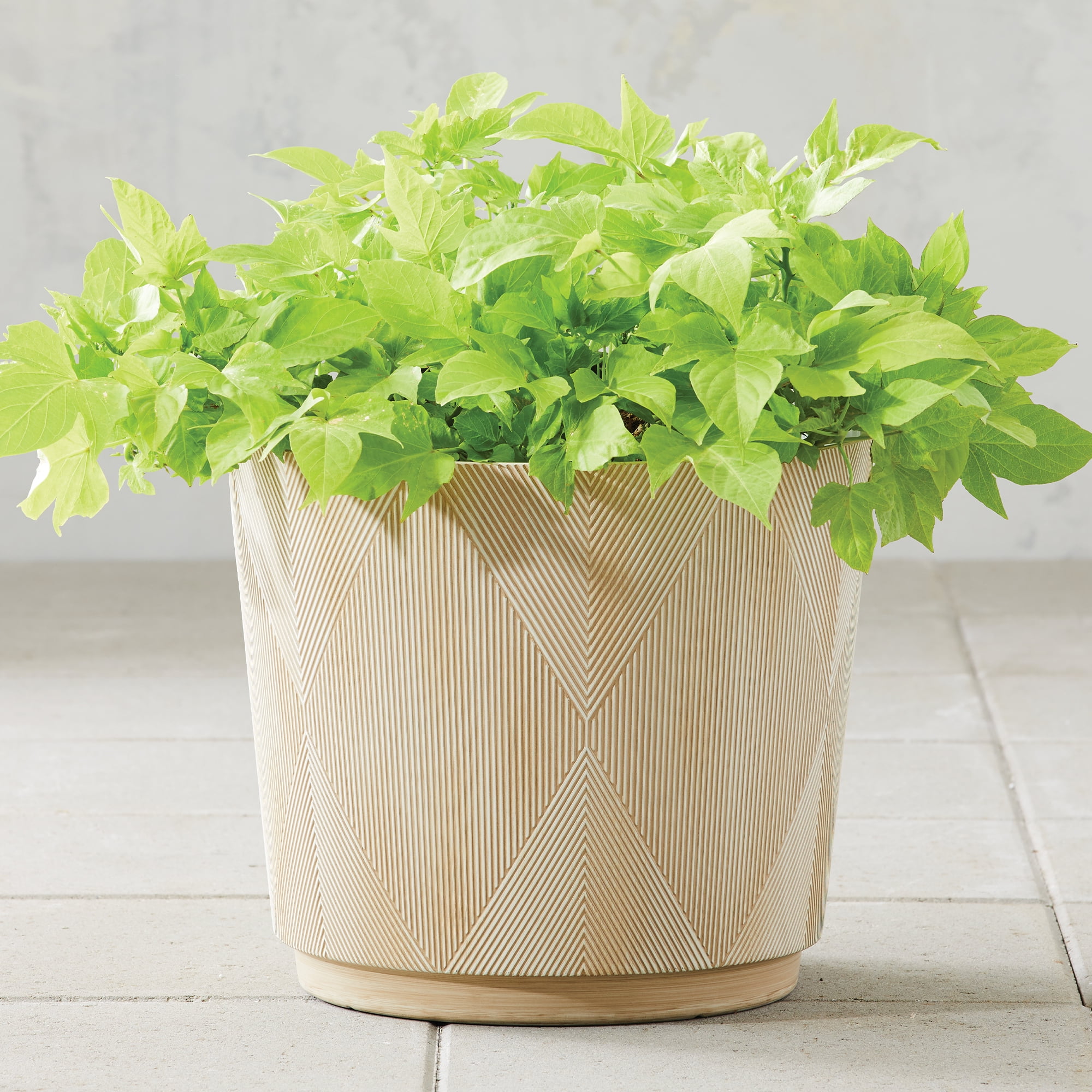 (2 pack) Better Homes & Gardens Hudson Cream Resin Planter, 15.7" x 15.7" x 13.8"