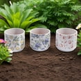 thumbnail image 2 of Pots Ronds en Terre Cuite pour Fruits - Ensemble de 3, 2 of 3