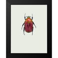 thumbnail image 2 of Incado 19x24 Black Modern Framed Museum Art Print Titled - Torynorrhina Flammea, 2 of 5