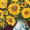 Sunflowers in a China Vase, variant on Diamond Dotz Sunflowers in a China Vase Floral Diamond Painting Kits for Adults - Diamond Art Kits a Relaxing Creative Craft Kit with Dotz Gems 22"x28"