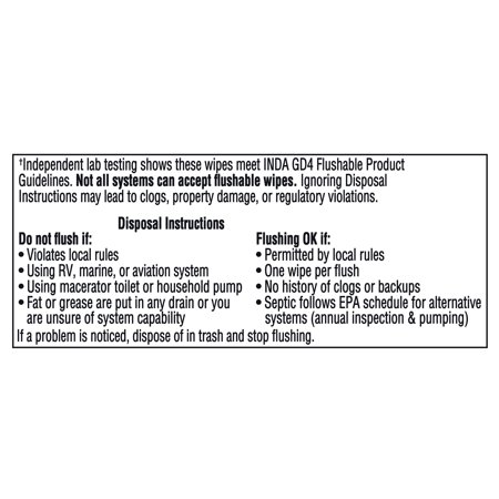 EQUATE EXTRA LARGE FLUSHABLE WET WIPES, COOL MINT SCENT, 144 WIPES, 3 PACK
