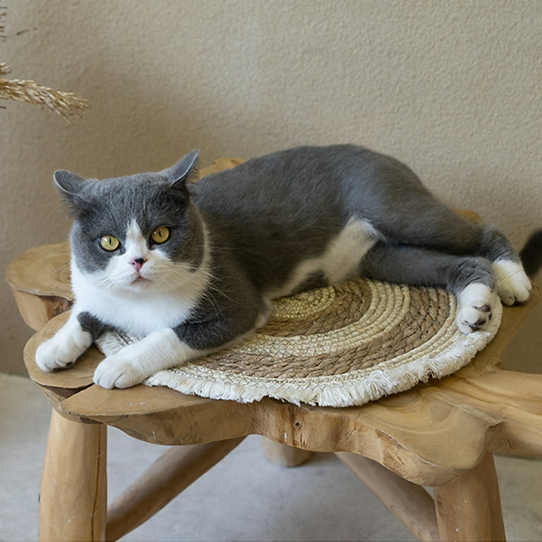 Cat placemats hotsell