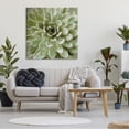 thumbnail image 3 of Stupell Industries Succulent Plant Abstract View Botanical & Floral Painting Gallery Wrapped Canvas Print Wall Art, 3 of 5