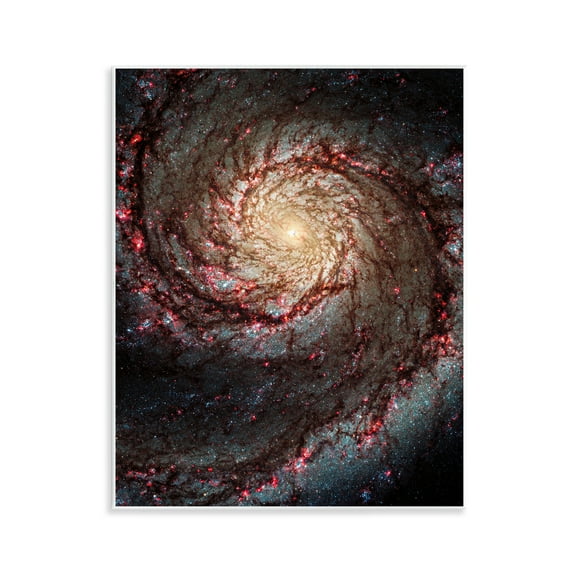 Stupell Industries Great Beyond Nebula Animals & Insects Photography Unframed Art Print Wall Art, 11 x 14