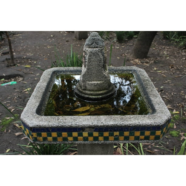 Laminated Poster Espaaƒae A A Aƒa A A A Aƒae A A A Aƒa Sa A Ol Bebedero De Cemento Abandonado Con Agua Estancada Y Hojas Tiene Detalles De Azulejo Amar Poster Print X 30 Walmart Com Walmart Com