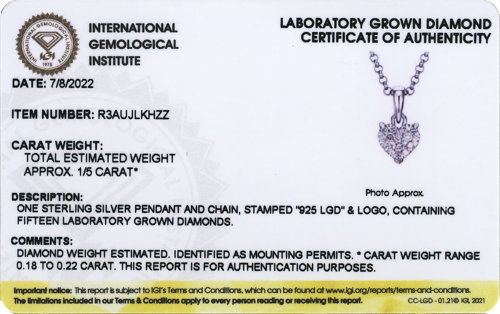 Forever Facets 1/5 CT TW Lab Grown Diamond Necklace in Platinum over Sterling Silver, Adult Female