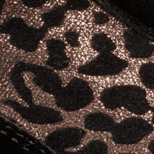 Black Leopard