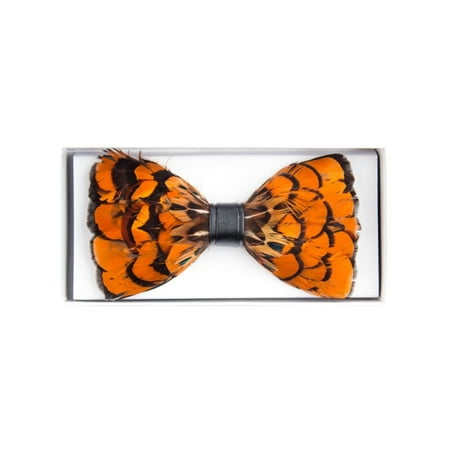 Men's Novelty Feather Banded Bow Tie