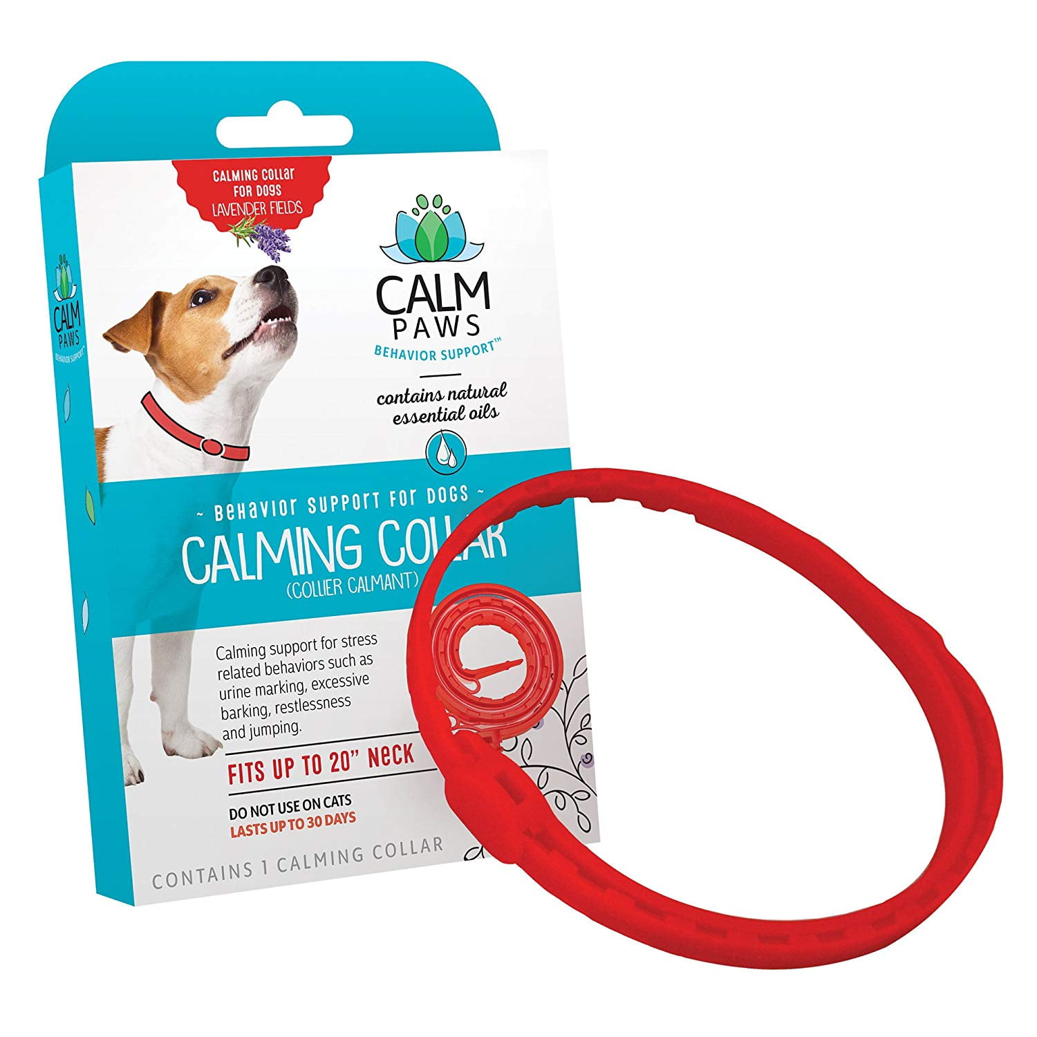 calming toys for dogs