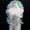 White, variant on IDONGCAI Ruffle Pleated Chiffon Trim Iridescent Fabric Ribbon Organza Sheer Ruffled Lace Trim for Dress Crafts Sewing (Iridescent White)