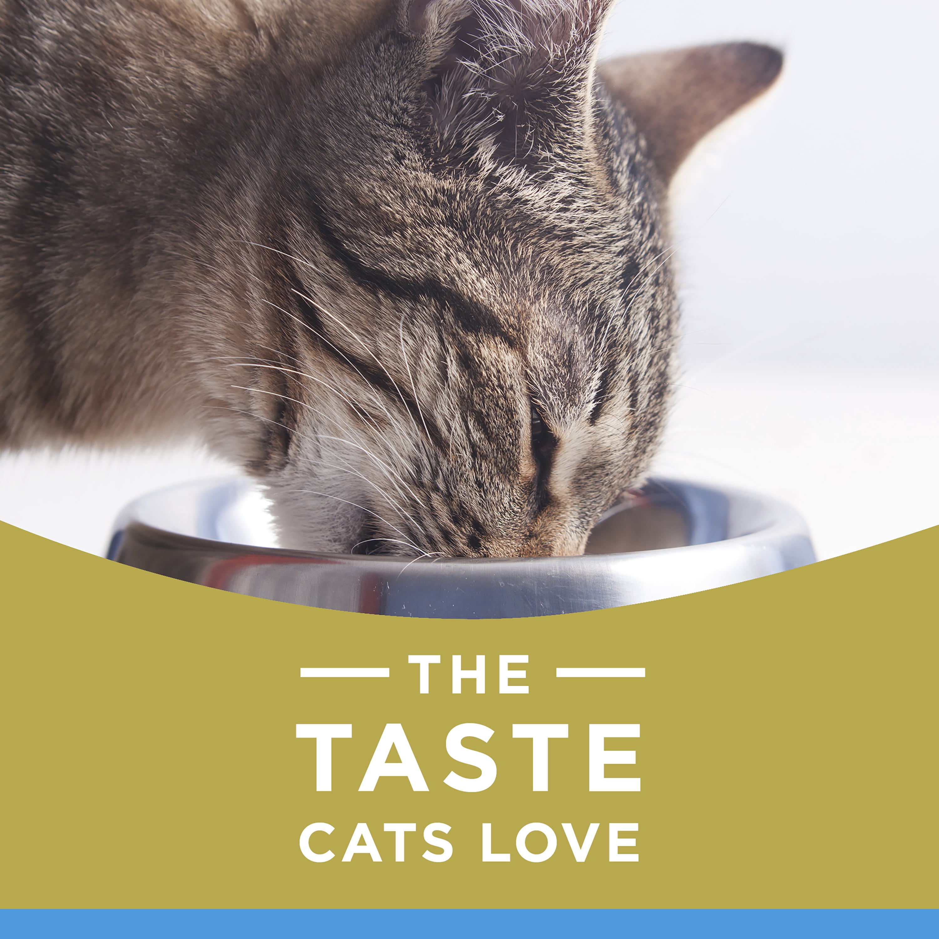 cat chow naturals indoor