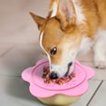thumbnail image 6 of P.T. Supply Co. Lilac Small Flower-Shaped Silicone Pet Bowl with Non-Slip Suction Base, 6 of 7