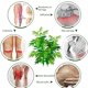 thumbnail image 3 of Unisex Wormwood Autocalentamiento Dot Matrix Rodilleras Transpirable Deportes cálidos 1 par Inevent OD014495-02, 3 of 7