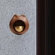 thumbnail image 1 of Timbre de puerta decorativo Macarena para gato Madera Cobre, 1 of 8