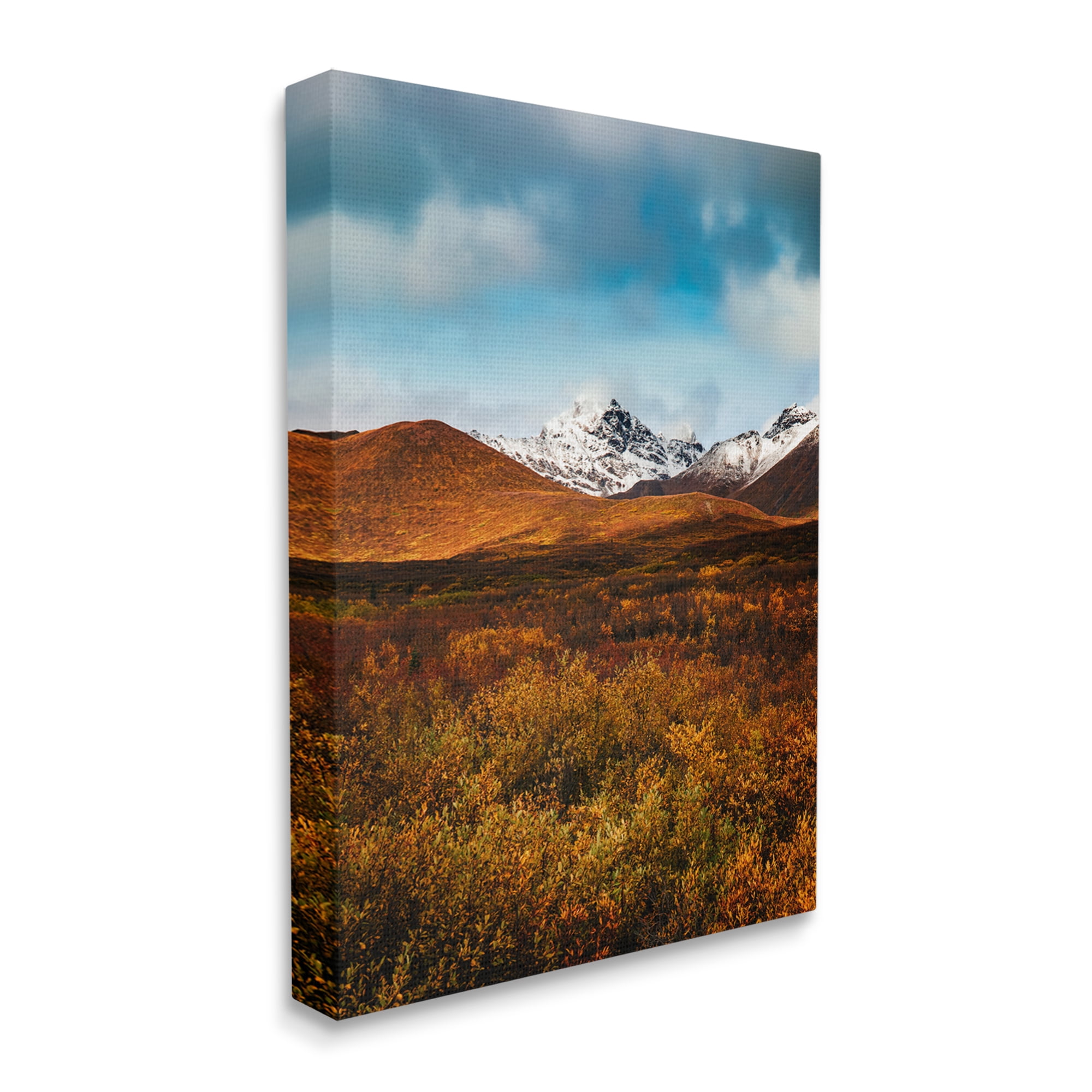 Stupell Industries Icy Mountain Landscape Landscape Photography Gallery Wrapped Canvas Art Print Wall Art, 24 x 30