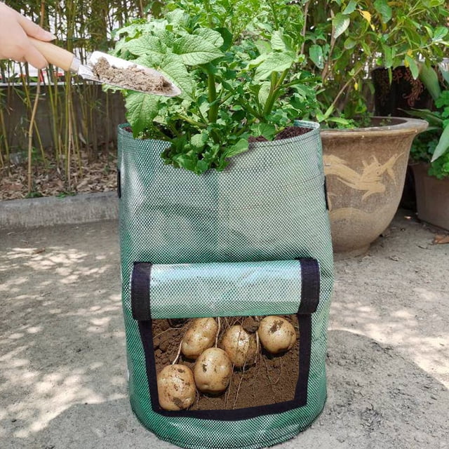 Bolsa para plantar en jardín, plantas, tomate, patata, batata, bolsa de cultivo ecológica con puerta