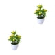thumbnail image 2 of Plantas artificiales en macetas Yuarrent bajo costo de Mantenimiento multicolor 22 cm, 2 of 6