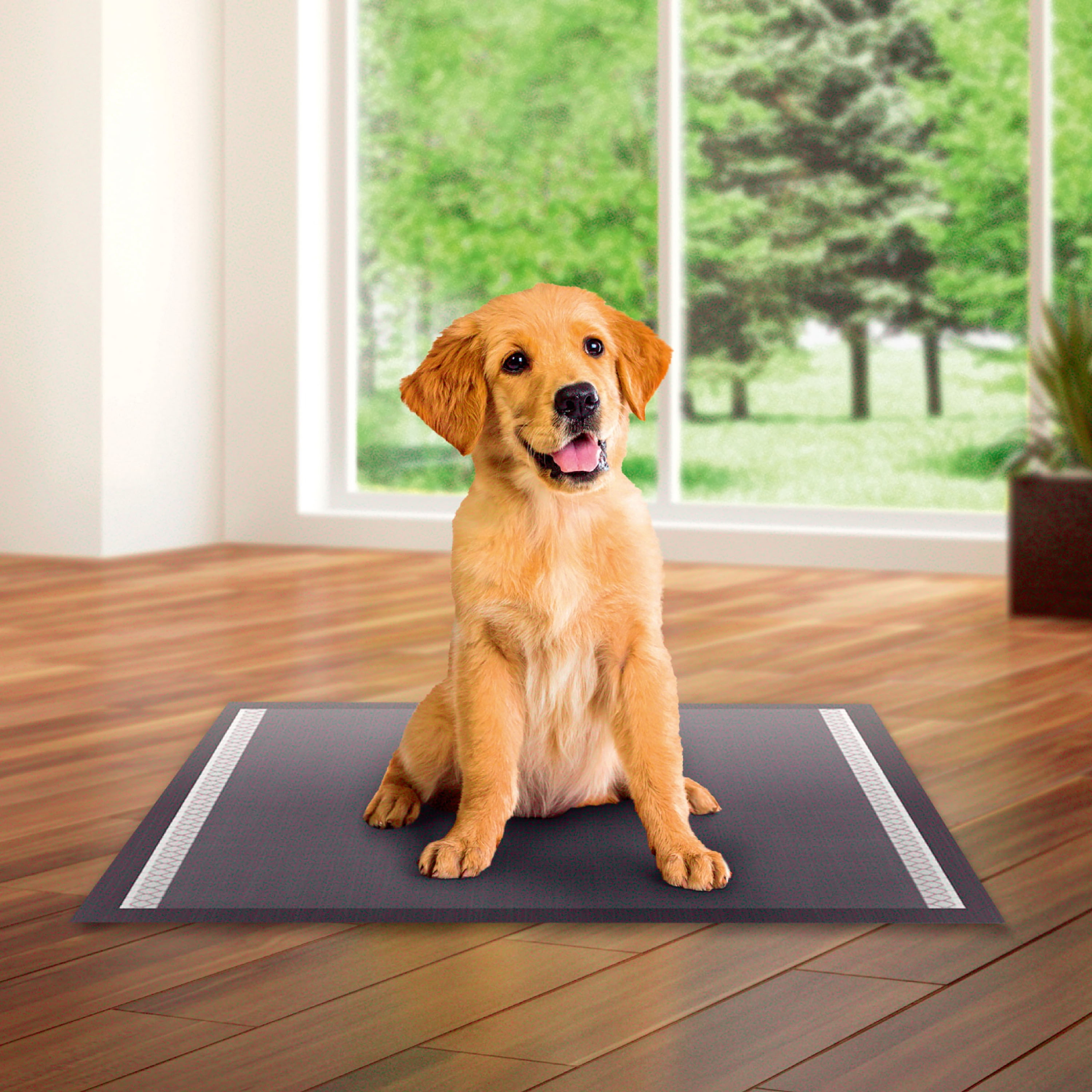 Vibrant Life Charcoal Large Training Pads, 50 Count photo 2