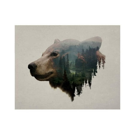 Pacific Northwest Black Bear Print Wall Art By Davies