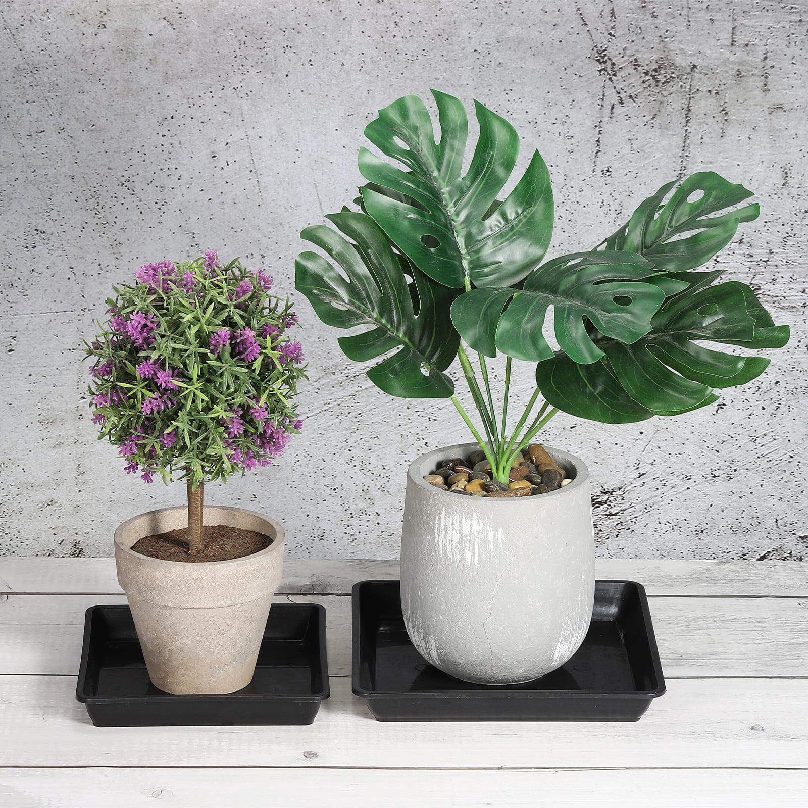 indoor lavender plant Zen Garden Grow Kit