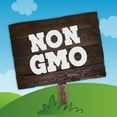 thumbnail image 4 of Ben & Jerry's Non-GMO Topped Mint Ice Cream Cage-Free Eggs Kosher Milk, 1 Pint, 4 of 10