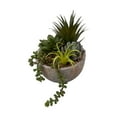thumbnail image 2 of Anko Succulent Plant in Pot, 2 of 6