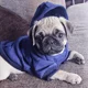thumbnail image 2 of Sudadera Con Capucha For Perro De Invierno, Sudaderas Con, 2 of 5