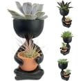 thumbnail image 2 of Zen Harmony Planter - Live Plants in a Decorative Pot - Cactus Succulent Air Plant - A Symbol of Serenity and Natural Beauty, 2 of 5